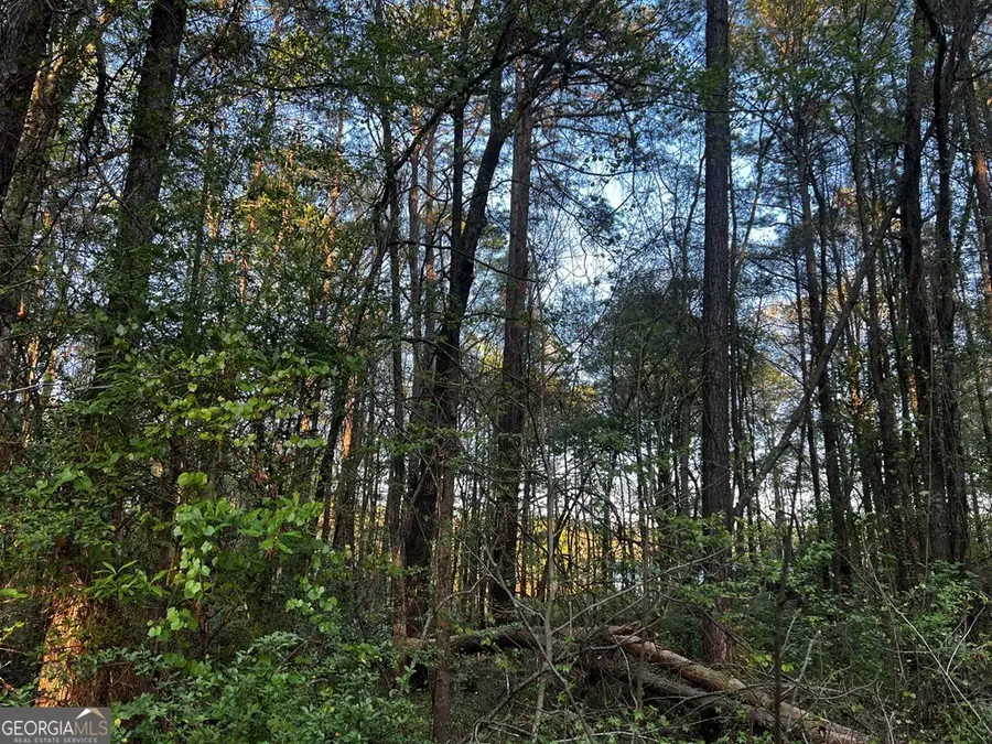203 View Pointe Lane, Lagrange, GA 30241 - #2