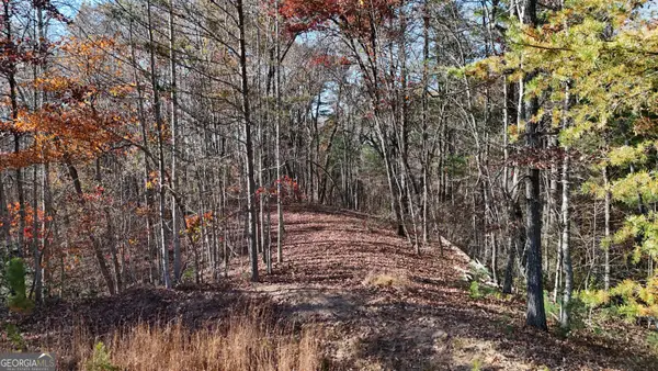 LOT 197 Springwinds Drive, Cleveland, GA 30528