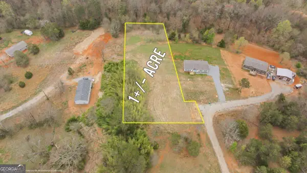 336 Mineral Springs Trail, Demorest, GA 30535