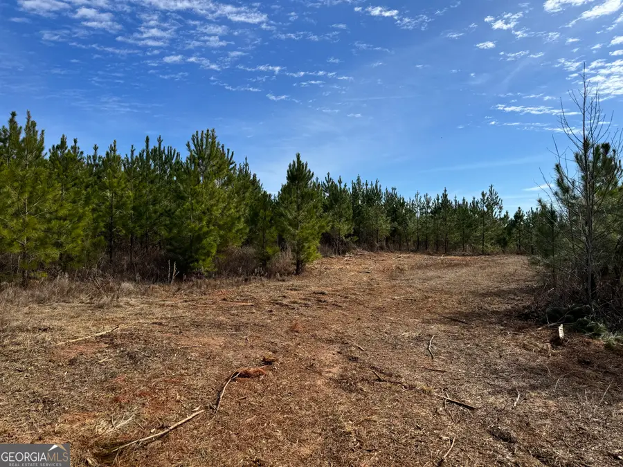 023 Marvin Murphy Road, Ellaville, GA 31806 - #2