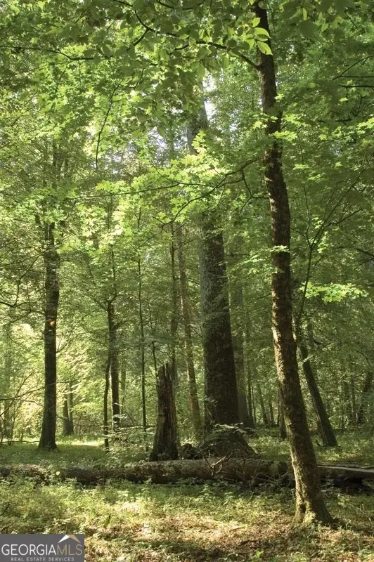 0 SW Troupe Smith Road, Conyers, GA 30094 - #1