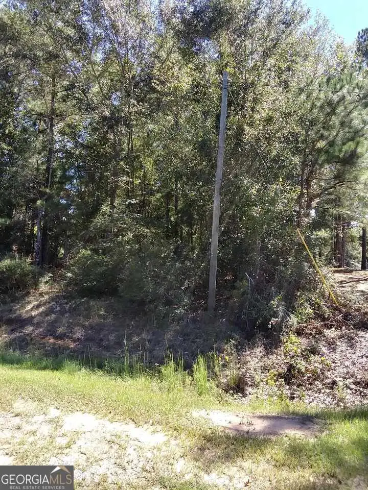 0 Glover Road, Harrison, GA 31035 - #1