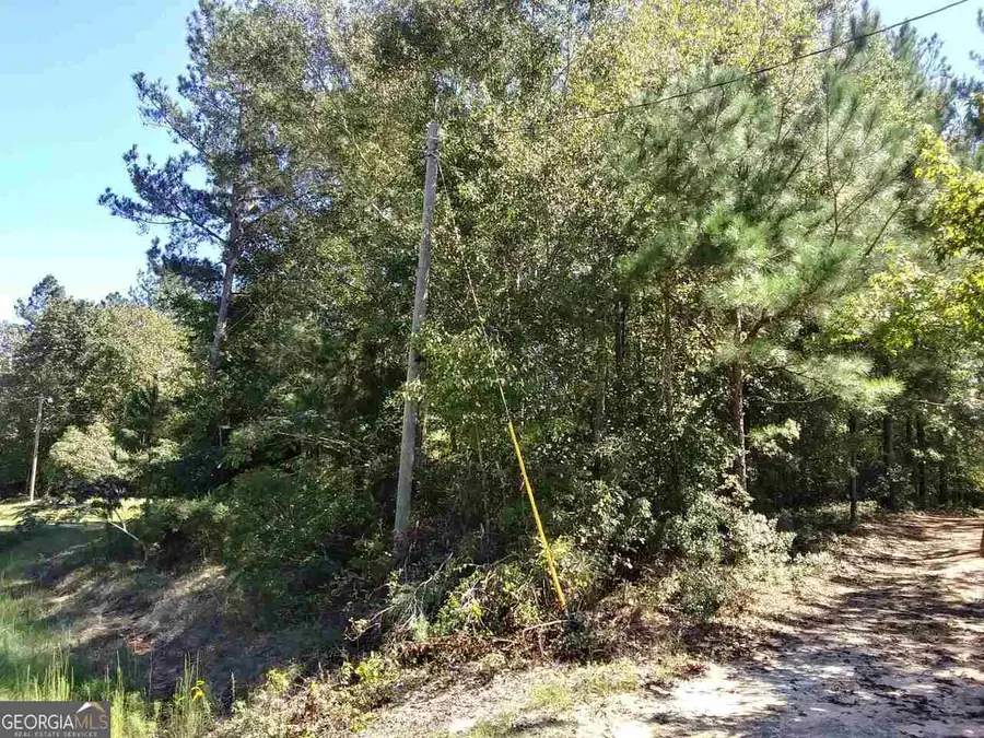 0 Glover Road, Harrison, GA 31035 - #2