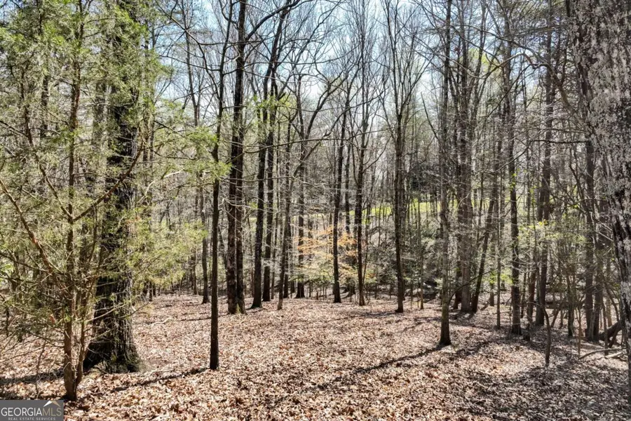 304 Point Olympus Drive, Gainesville, GA 30506 - #2