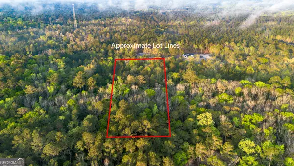 0 Little Mccall Road, Rincon, GA 31326