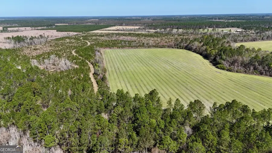 TRACT 6 Ingram Road, Odum, GA 31555 - #2