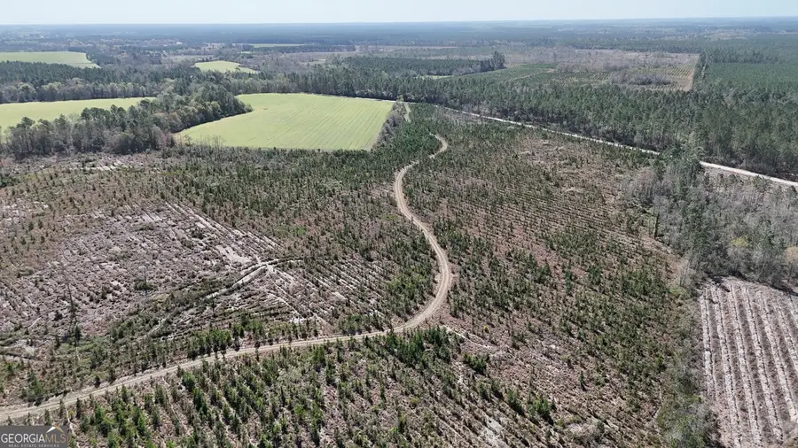 TRACT 6 Ingram Road, Odum, GA 31555 - #3