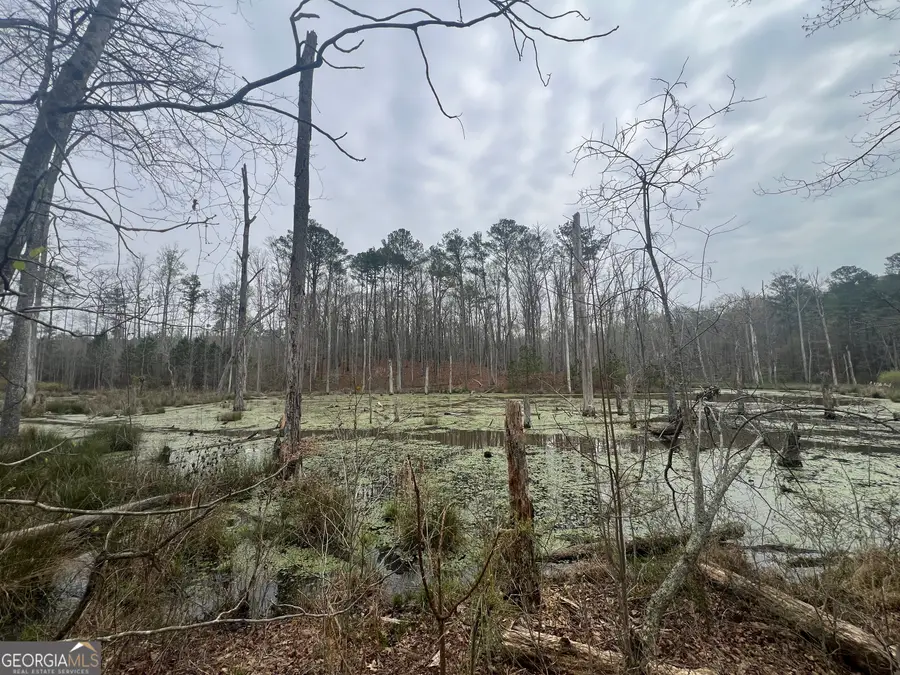 0 Bethlehem Church Road, Grantville, GA 30220 - #2