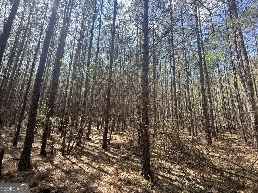 14 Hollis Norman Road, Tignall, GA 30668 - #2