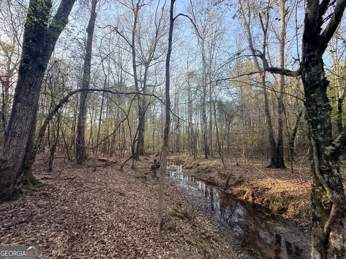 8 Hollis Norman Road, Tignall, GA 30668 - #1