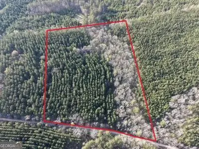 8 Hollis Norman Road, Tignall, GA 30668 - #3