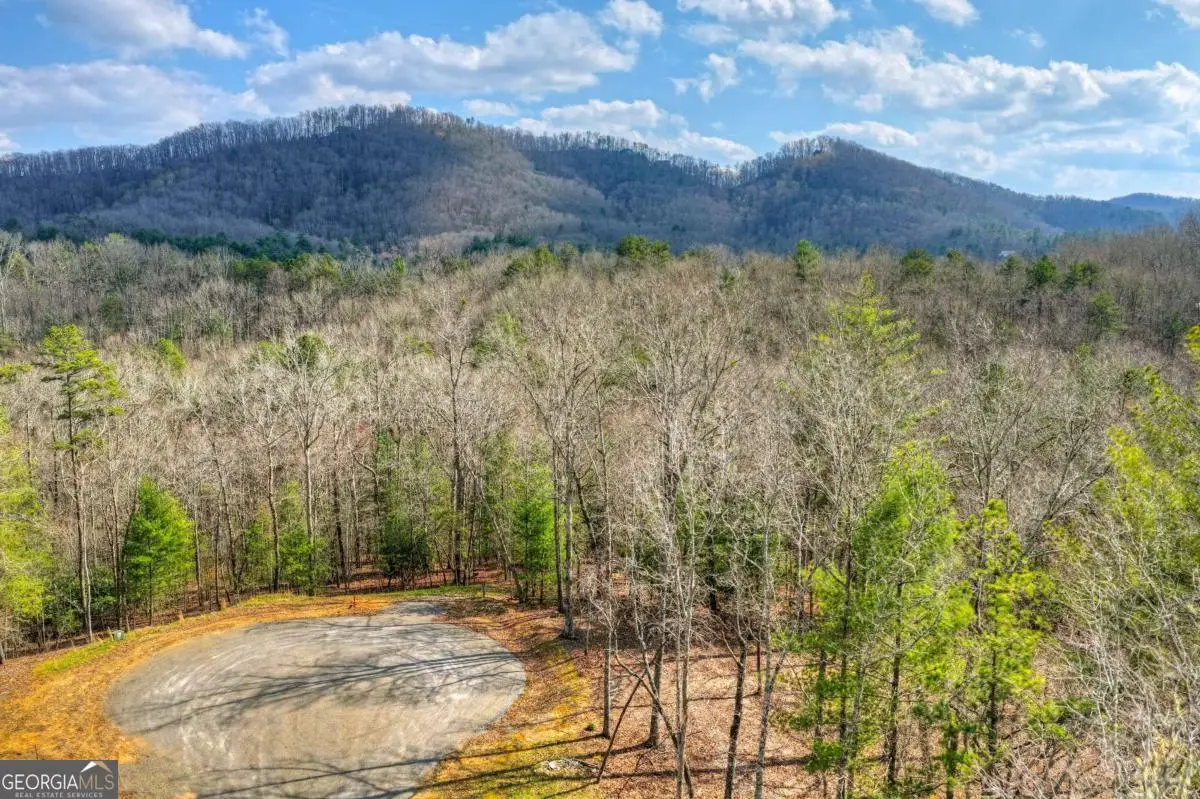 LT 13 Rocky Ridge, Mineral Bluff, GA 30559 - #1