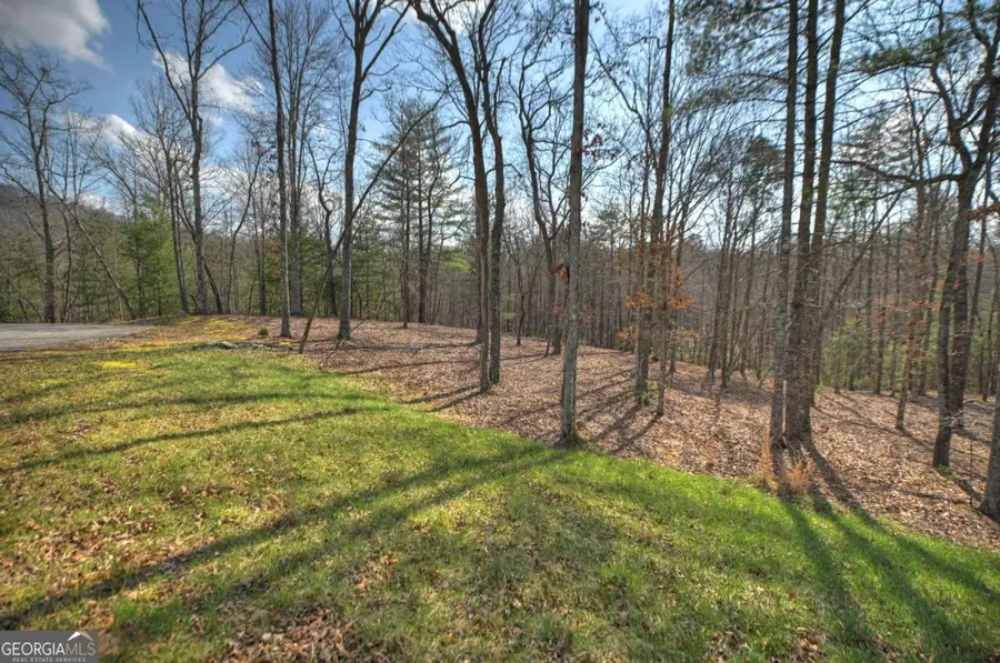LT 13 Rocky Ridge, Mineral Bluff, GA 30559 - #3