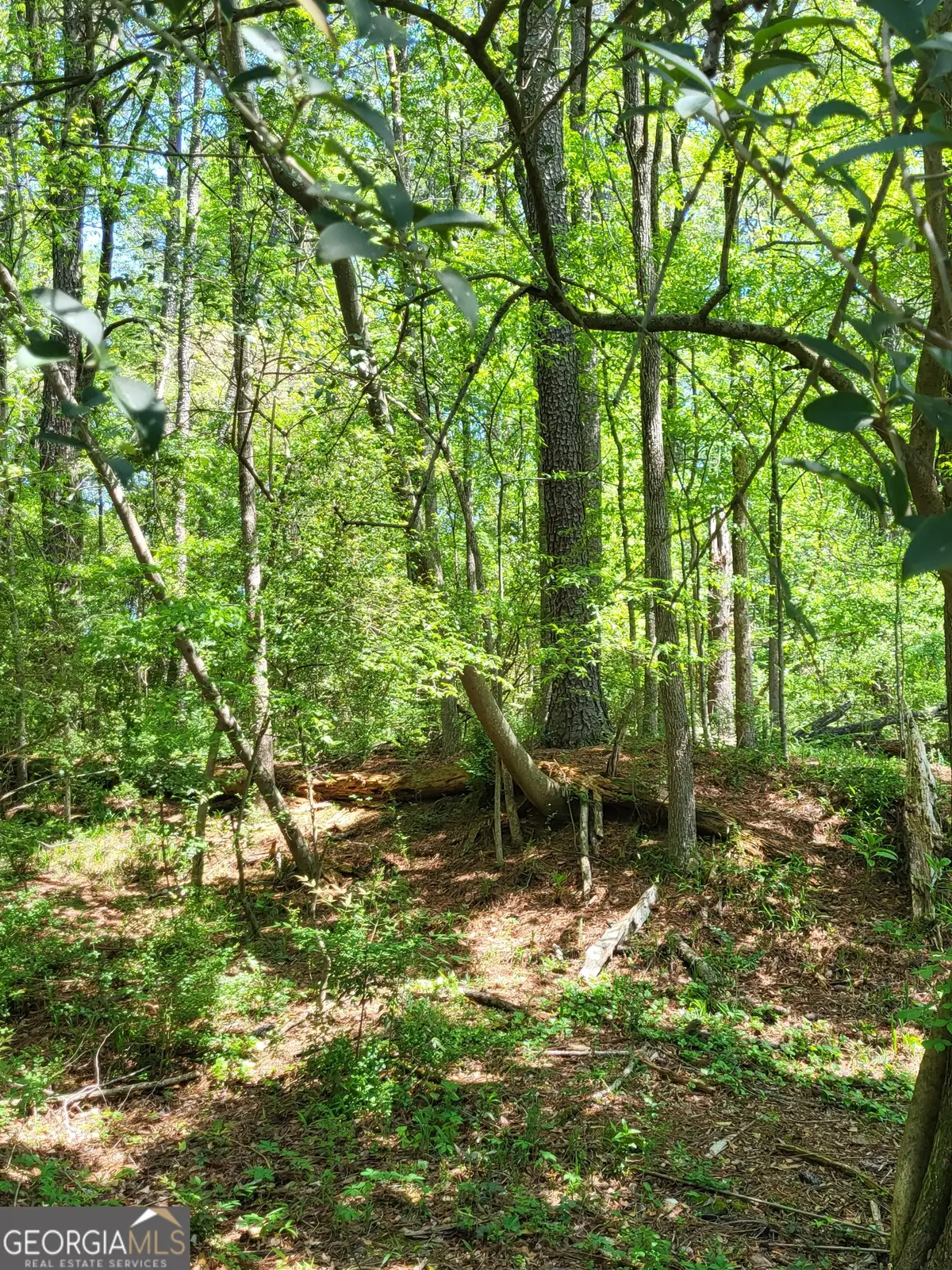 0 NW Grove Park Place Nw, Atlanta, GA 30318 - #1