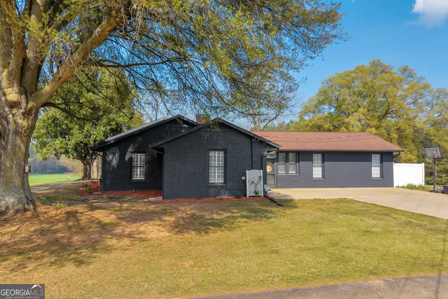 61 Turkey Creek Road, Carnesville, GA 30521 - #3