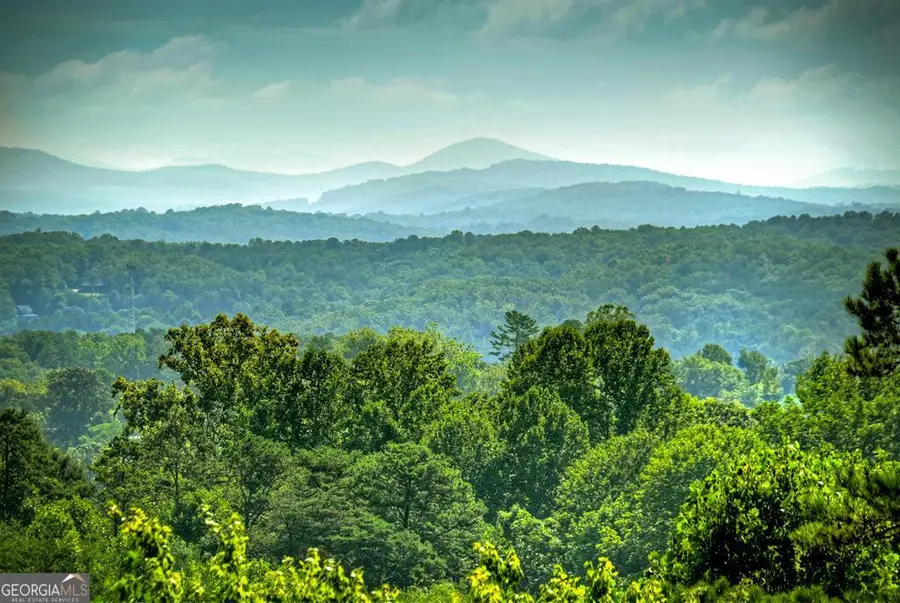 222 Mountain Hideaway Lane, Blue Ridge, GA 30513 - #3