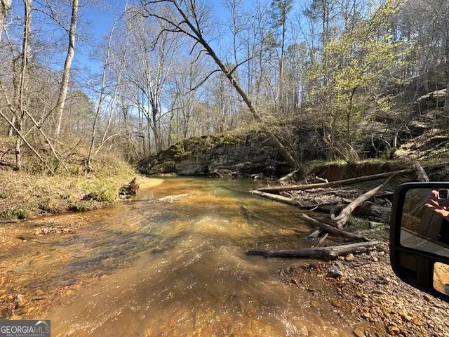 600 Yarbrough Road, Franklin, GA 30217 - #3