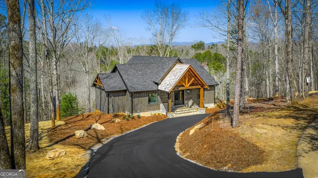 698 Oak Ridge Way, Ellijay, GA 30536 - #1