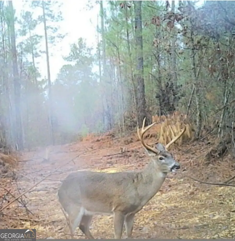 0 John Rucker Road, Elberton, GA 30635 - #2