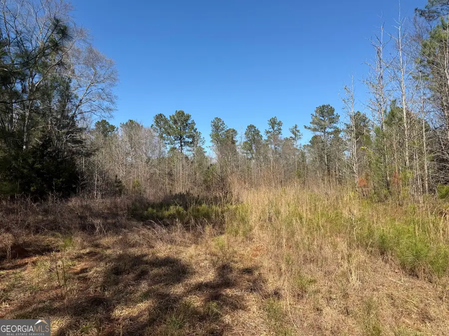 0 John Rucker Road, Elberton, GA 30635 - #3