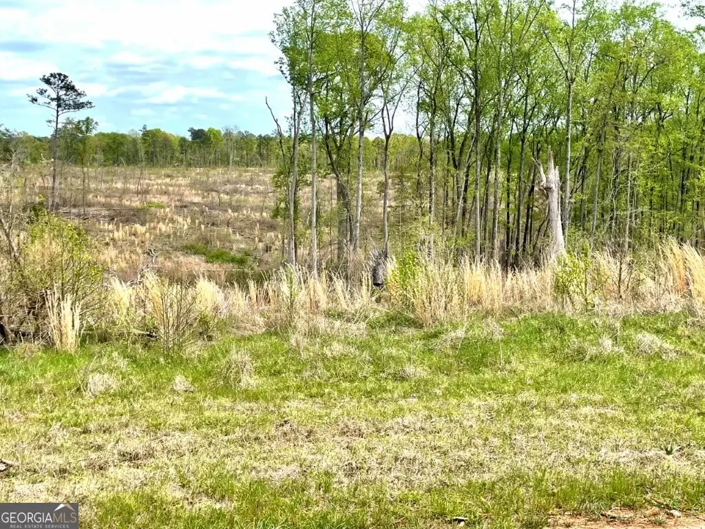 0 Fullerton-phillips Road, Hillsboro, GA 31038 - #1