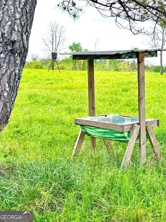 0 Fullerton-phillips Road, Hillsboro, GA 31038 - #2