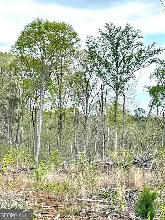 0 Fullerton-phillips Road, Hillsboro, GA 31038 - #3