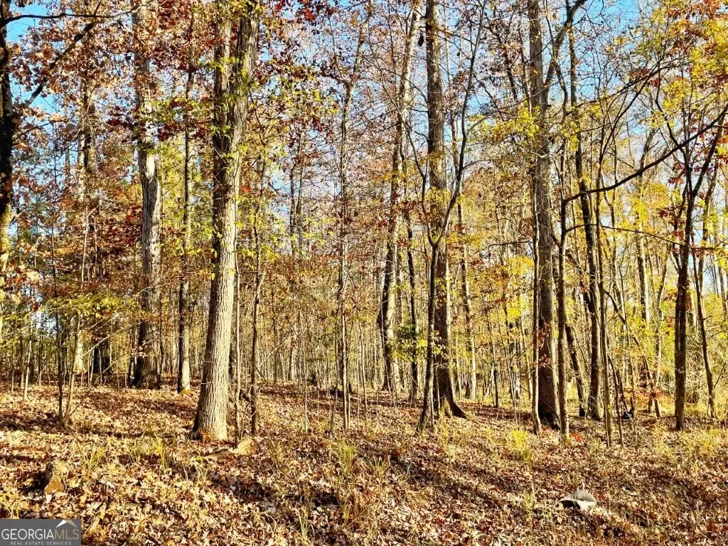 0 Fullerton-phillips Road, Hillsboro, GA 31038 - #1