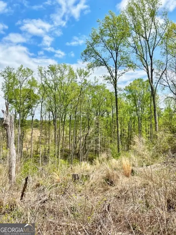 0 Fullerton-phillips & Greer Road, Hillsboro, GA 31038 - #3