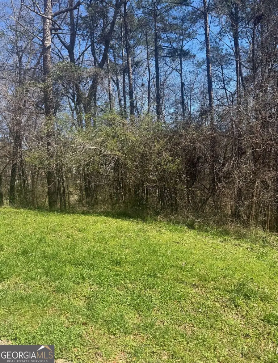 3740 Mountain Cove Road, Snellville, GA 30039 - #2