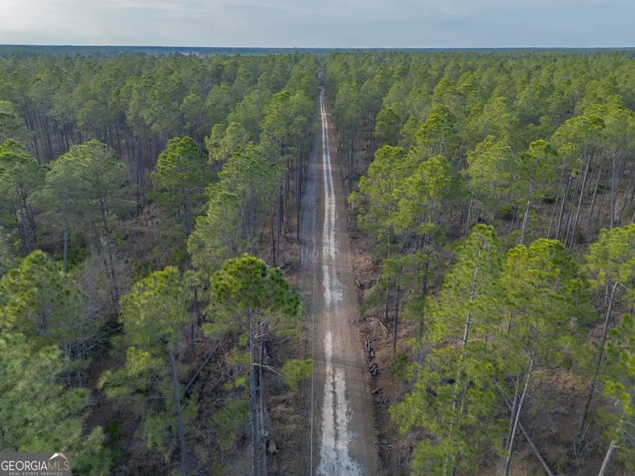 TRACT 5 Reddish Road, Odum, GA 31555 - #2
