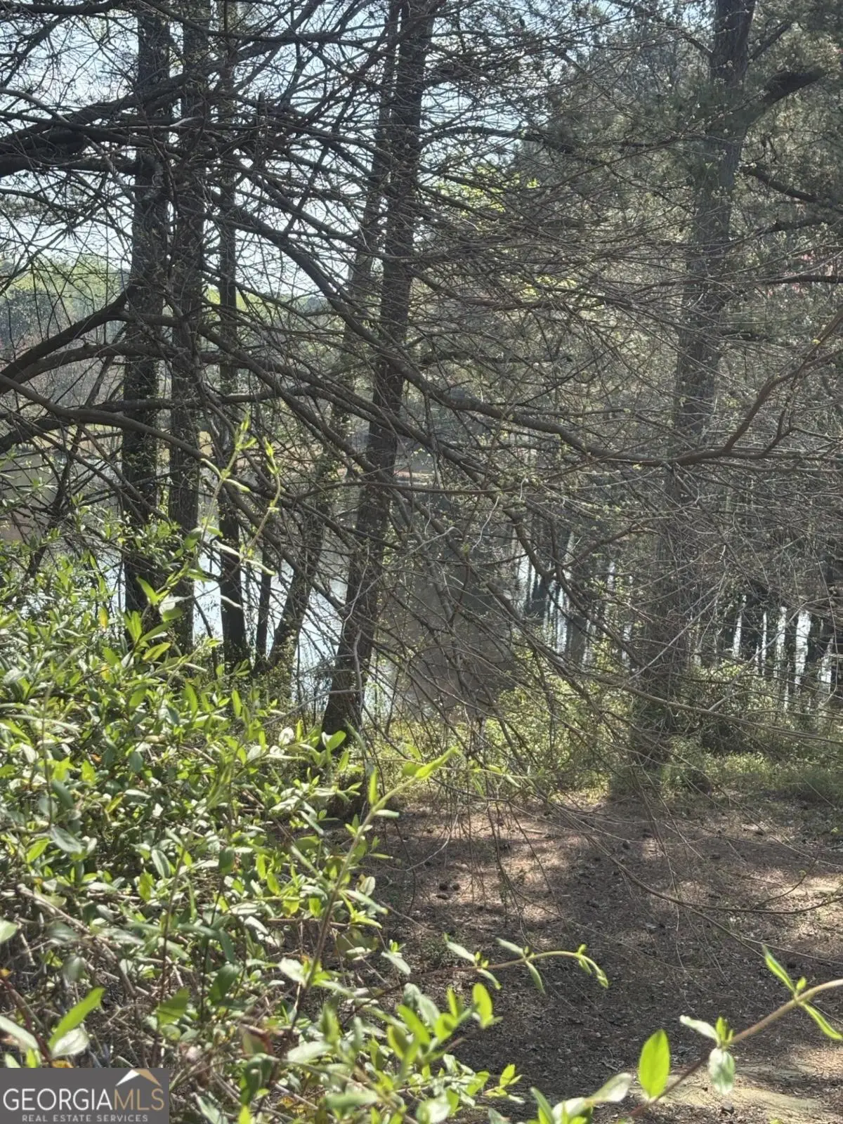 1560 Stoneleigh Hill Road, Lithonia, GA 30058 - #1