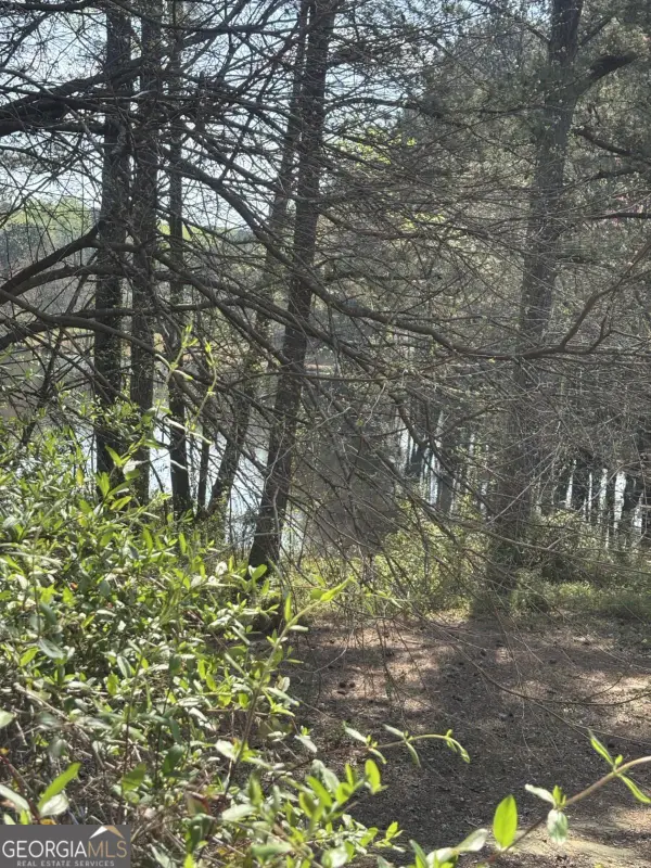 1560 Stoneleigh Hill Road, Lithonia, GA 30058