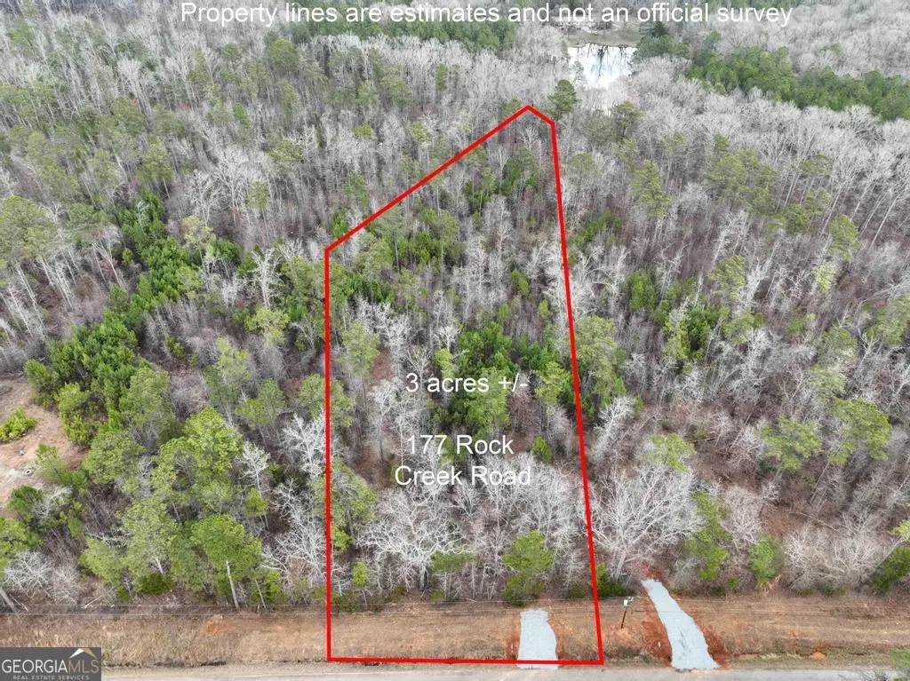 177 Rock Creek Road, Flovilla, GA 30216 - #1