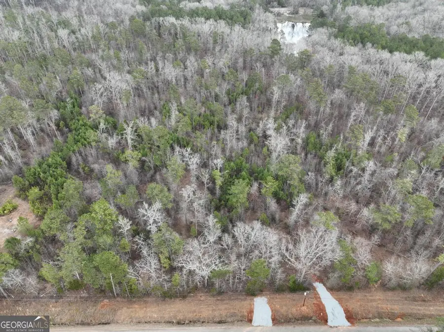 177 Rock Creek Road, Flovilla, GA 30216 - #3