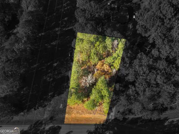 0 Freeman Road, Hampton, GA 30228