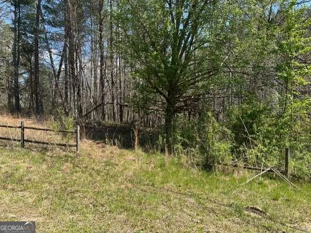 0 Sky Lake Road, Sautee Nacoochee, GA 30571 - #2