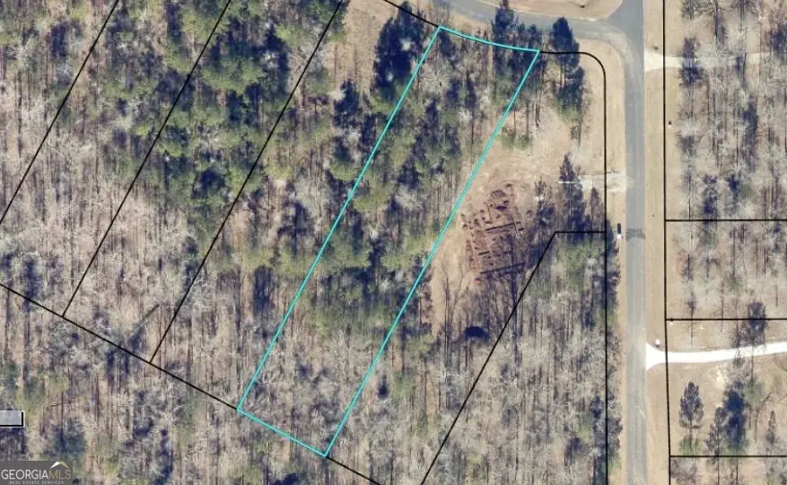 LOT 16 South Point Drive, Tignall, GA 30668 - #2