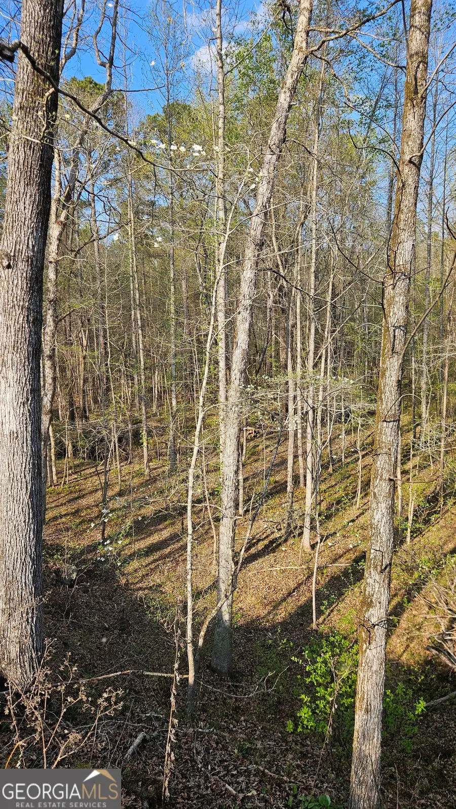 0 Shiloh Road, Greensboro, GA 30642 - #3