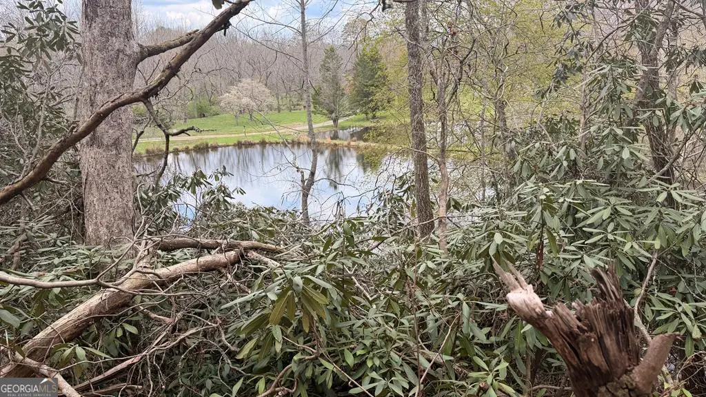 #9 Mill Creek Hollow, Hayesville, NC 28904 - #1