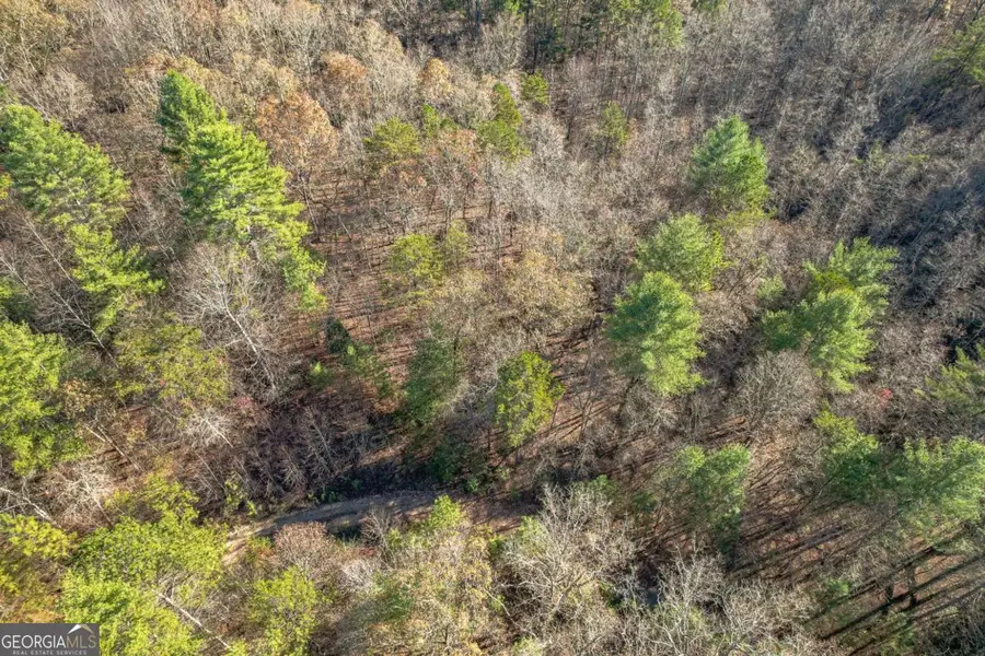 0 Pine Woods Drive, Blairsville, GA 30512 - #3