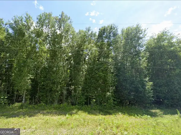 0 Mann Road, Arabi, GA 31712