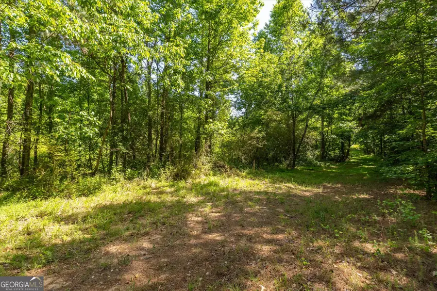 0 Gene Bell Road, Monroe, GA 30655 - #2