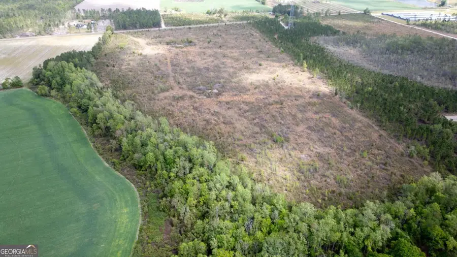 001 Piney Grove Church Road, Baxley, GA 31513 - #2