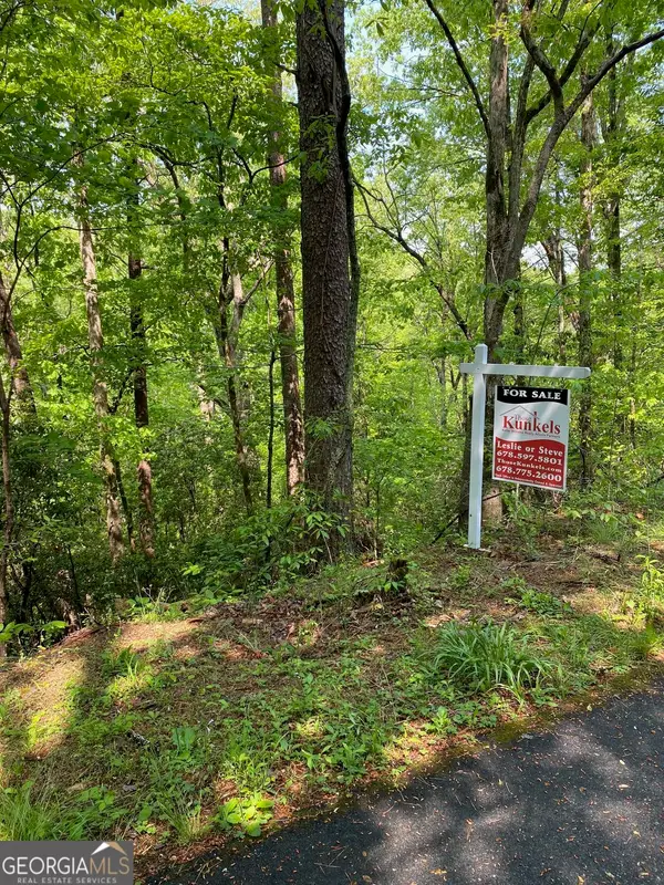 31 Valhalla Drive, Cleveland, GA 30528