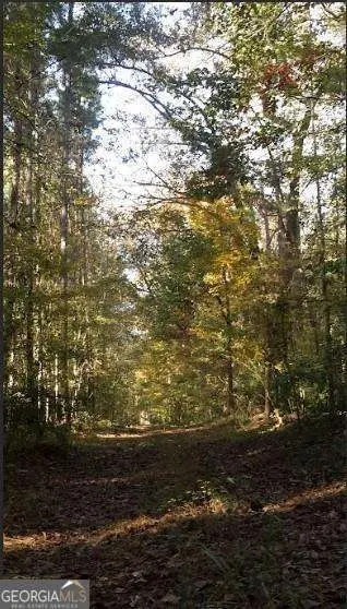 1047 Ponder Trammell Road, Juliette, GA 31046 - #3