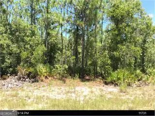 6927 Greenfield Rd, Blackshear, GA 31516 - #1