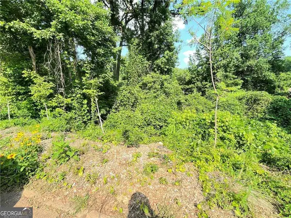 1247 Beechview Drive Se, Atlanta, GA 30316