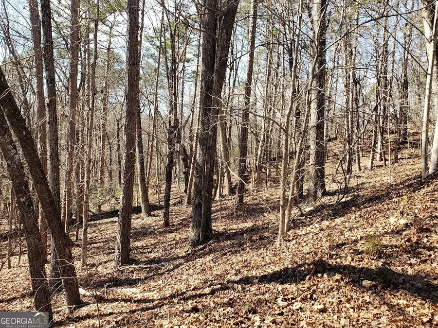 0 Planters Pointe Drive, Banks, GA 30510 - #2