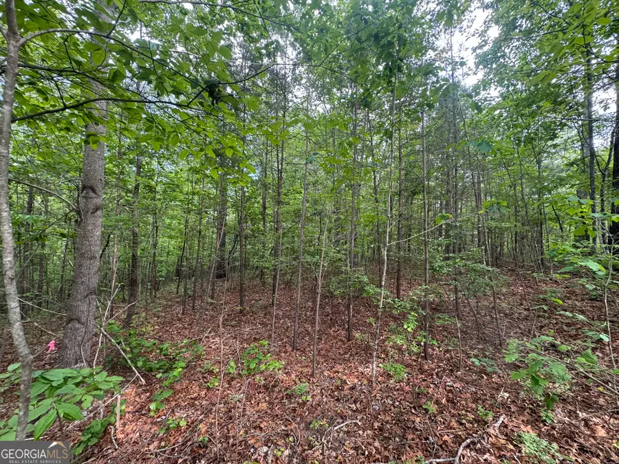 1786 Jones Mountain Road, Jasper, GA 30143 - #3